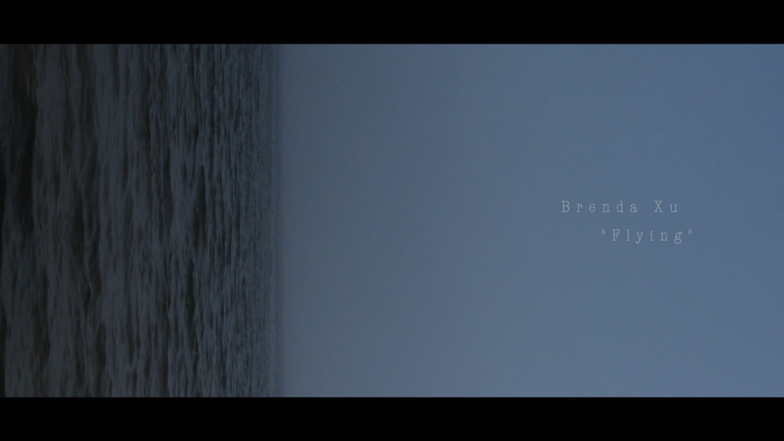 Brenda Xu’s Flying title over a sideways dark-water image