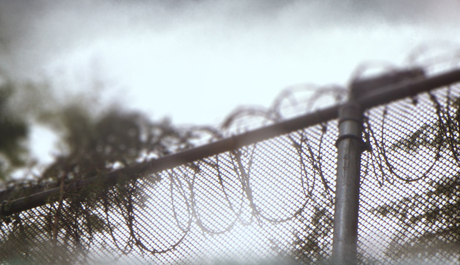 A razor-wire fence photographed in shallow focus for Gavel