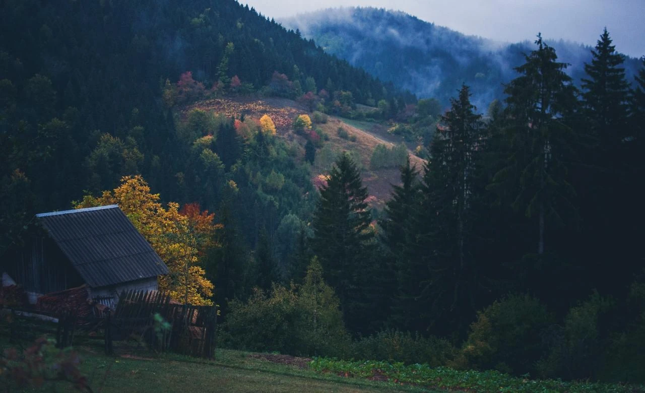 A misty wooded valley with a mountain cottage